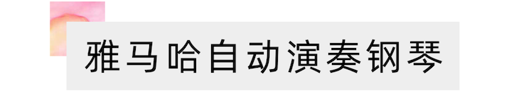 活动报道 | “科技助力，跨越时空”，小鹿纯子携手刘明康共享中日音乐盛宴