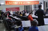 长春市绿园小学“凯发k8国际示范管乐队大师班”顺利结束 